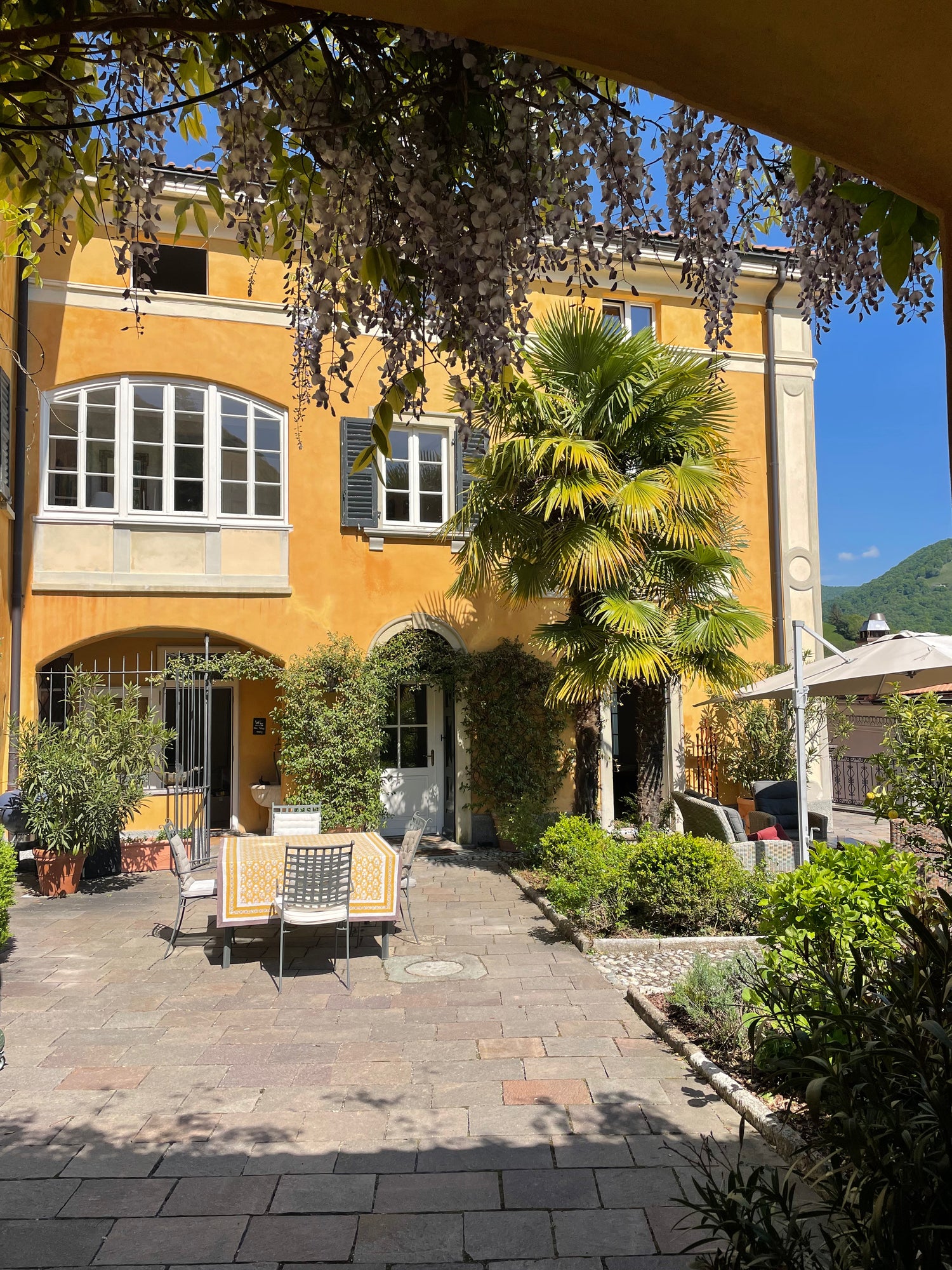 Image with text section