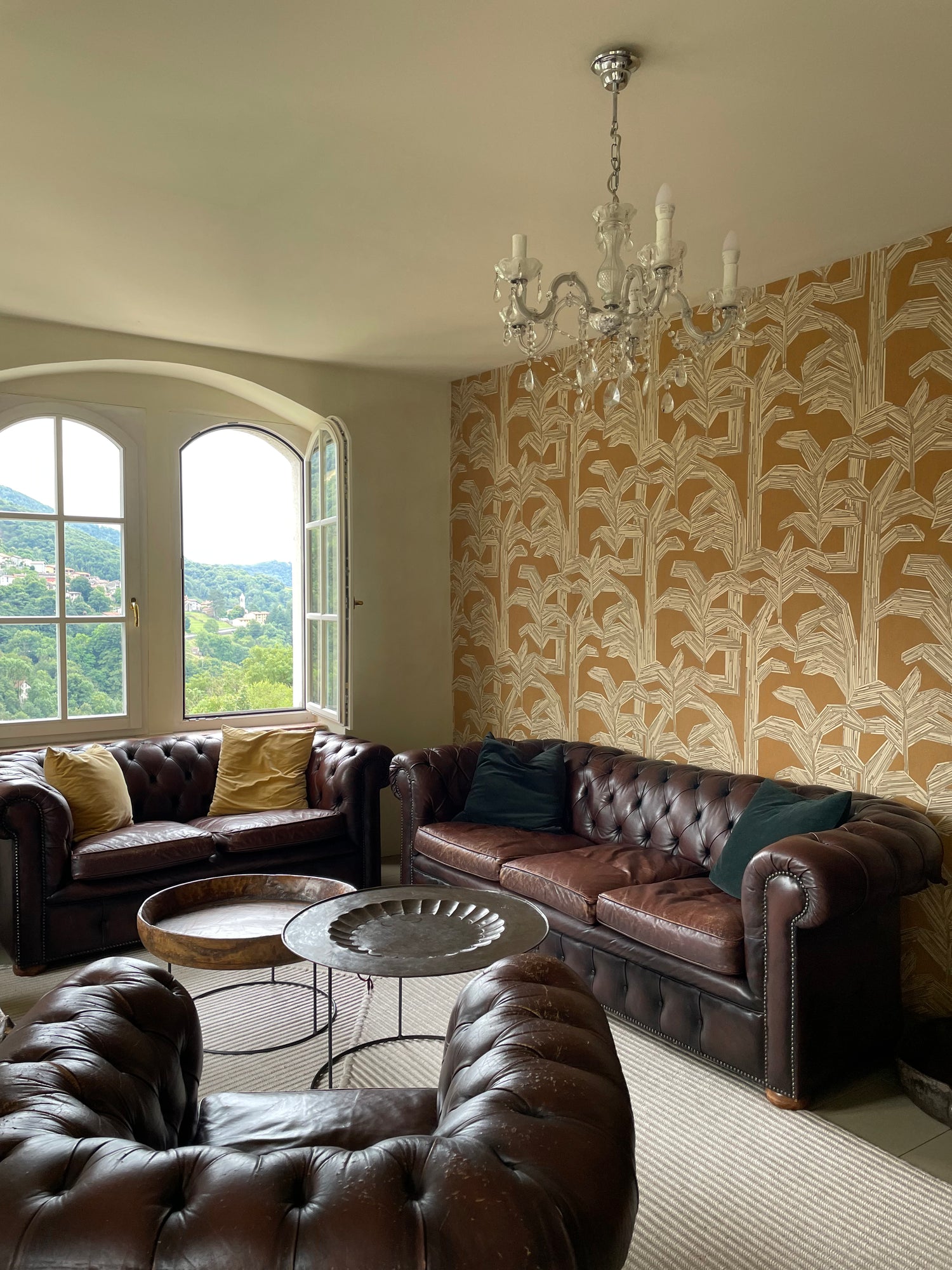 Image with text section