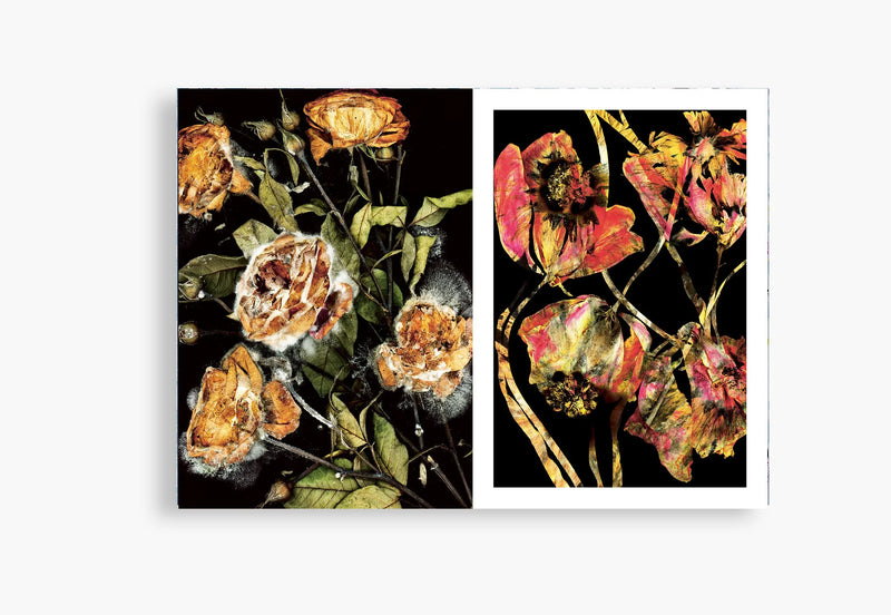 Flora Incognita - Katharina Von Flotow