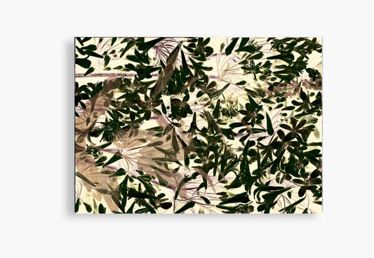 Flora Incognita - Katharina Von Flotow