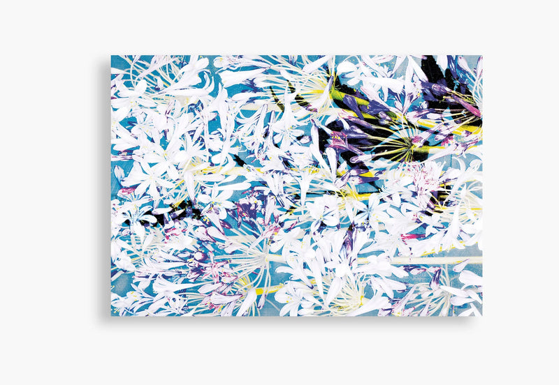 Flora Incognita - Katharina Von Flotow