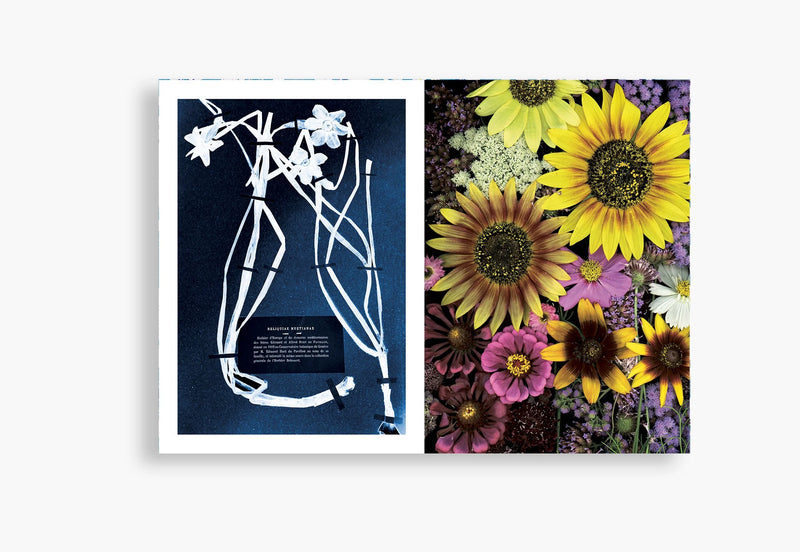 Flora Incognita - Katharina Von Flotow