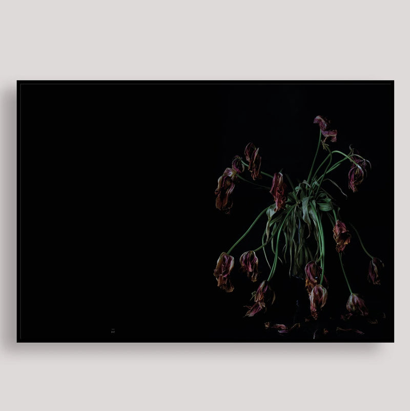 Memento mori - Katharina Von Flotow
