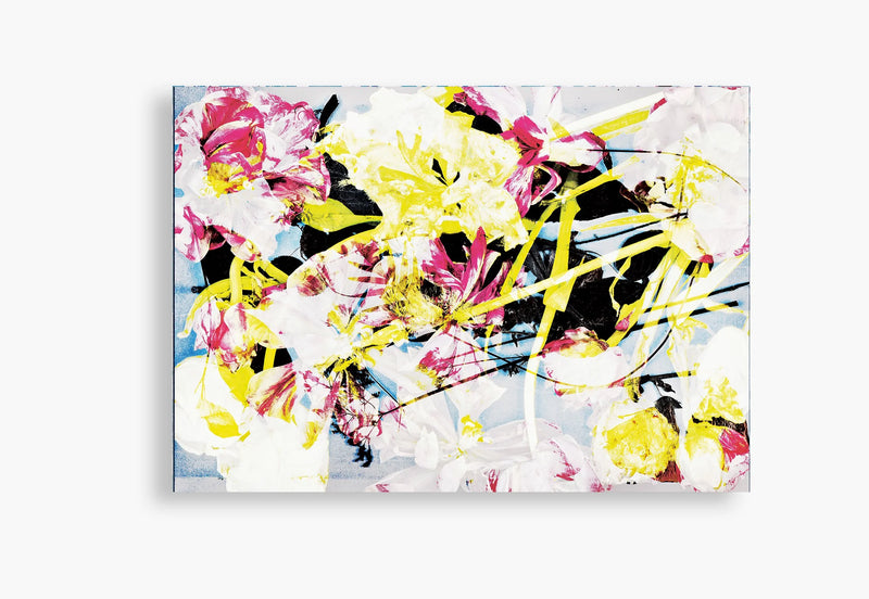 Flora Incognita - Katharina Von Flotow