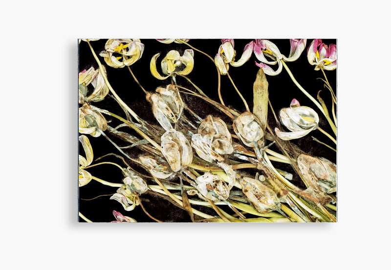 Flora Incognita - Katharina Von Flotow