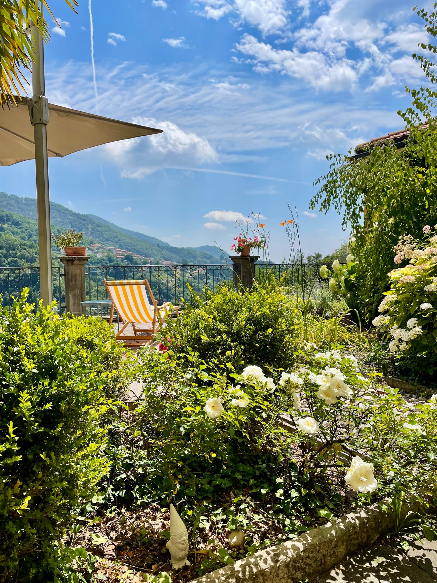 Image with text section